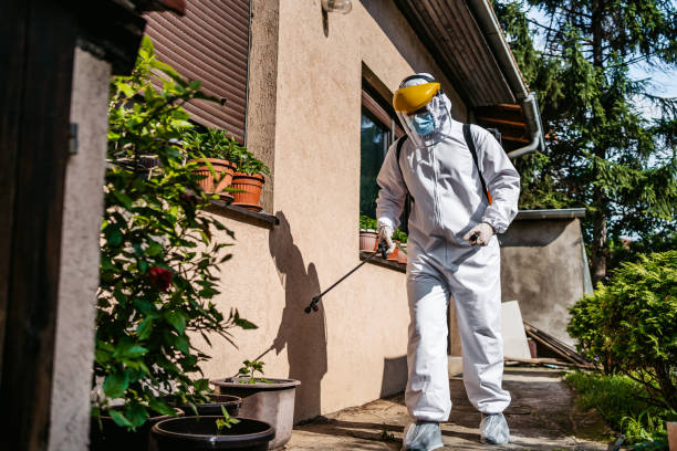 Professional Pest Control in Oroville, CA